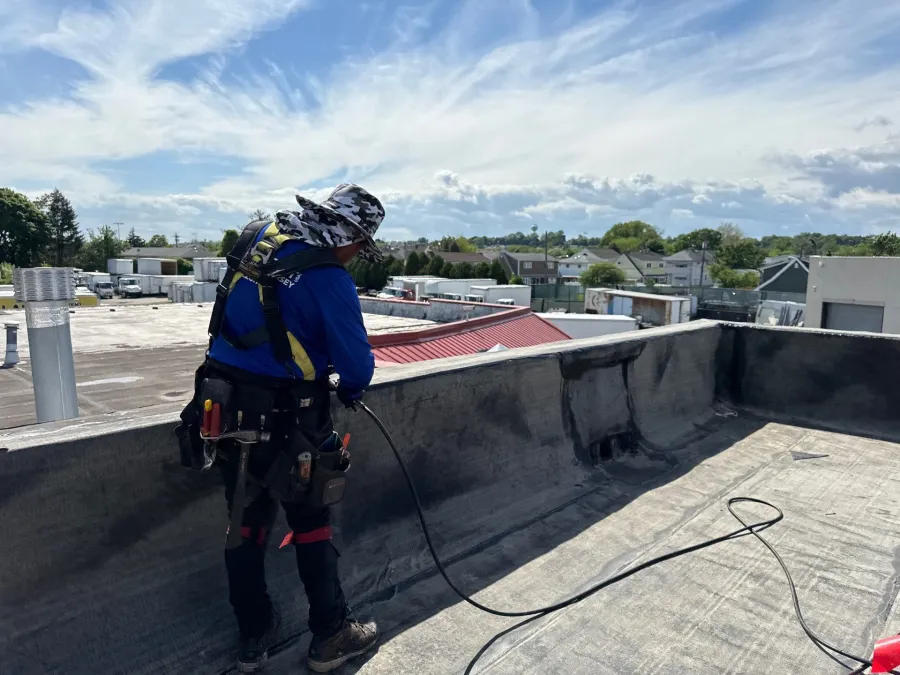 down net http20240517 56 awzsdf