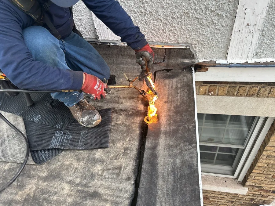 down net http20240517 100 ysz7gt