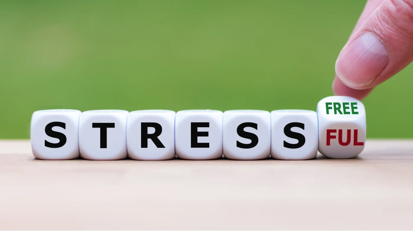 Stressfree written with dice.