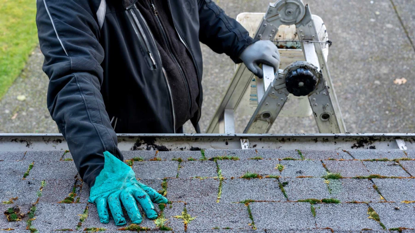 Exceptional Roof Repair Bergen County Nj 1 Call Restore