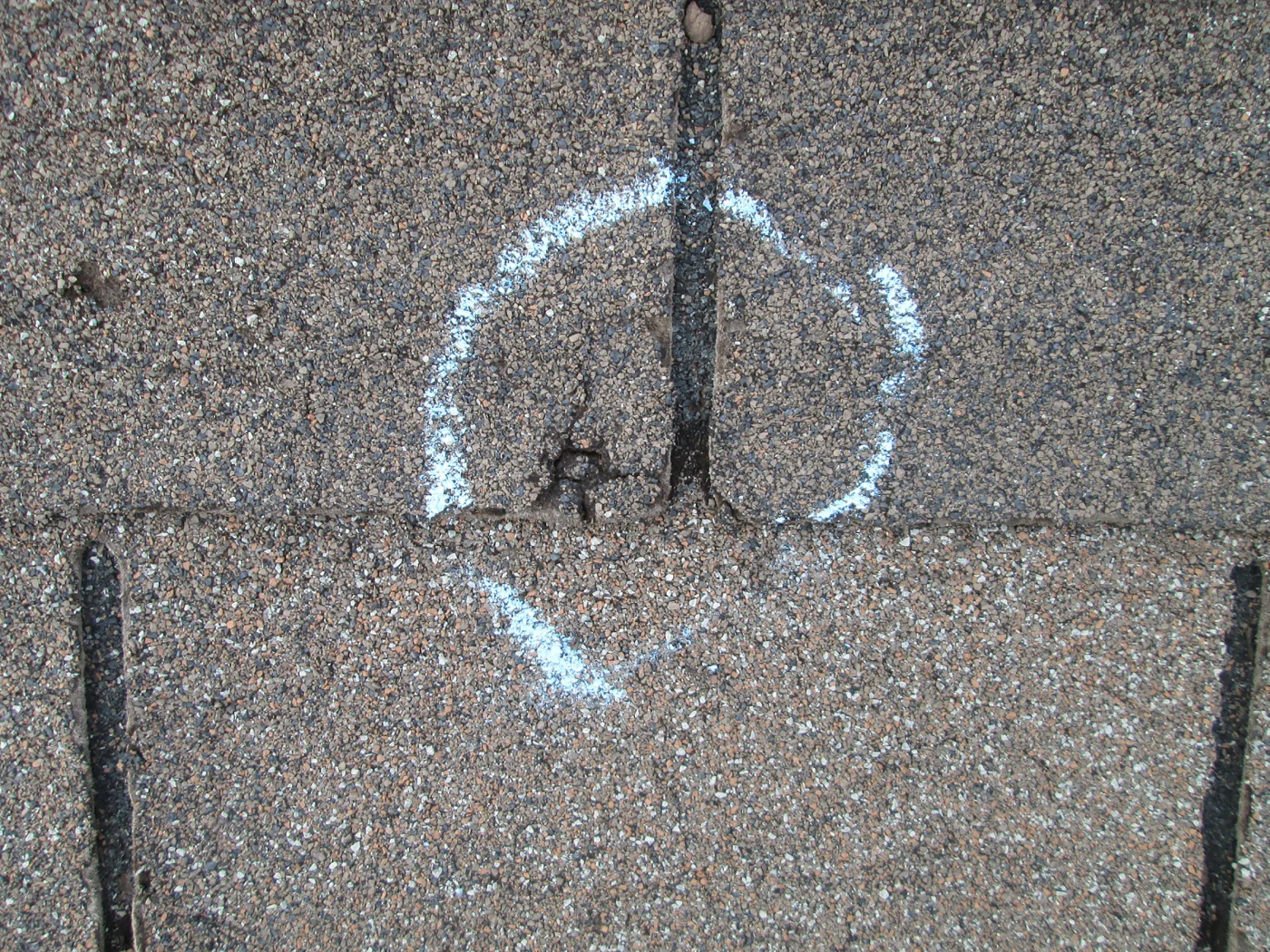A cracked shingle circled