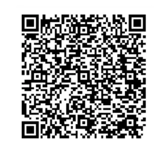 Traditional Installment Loan