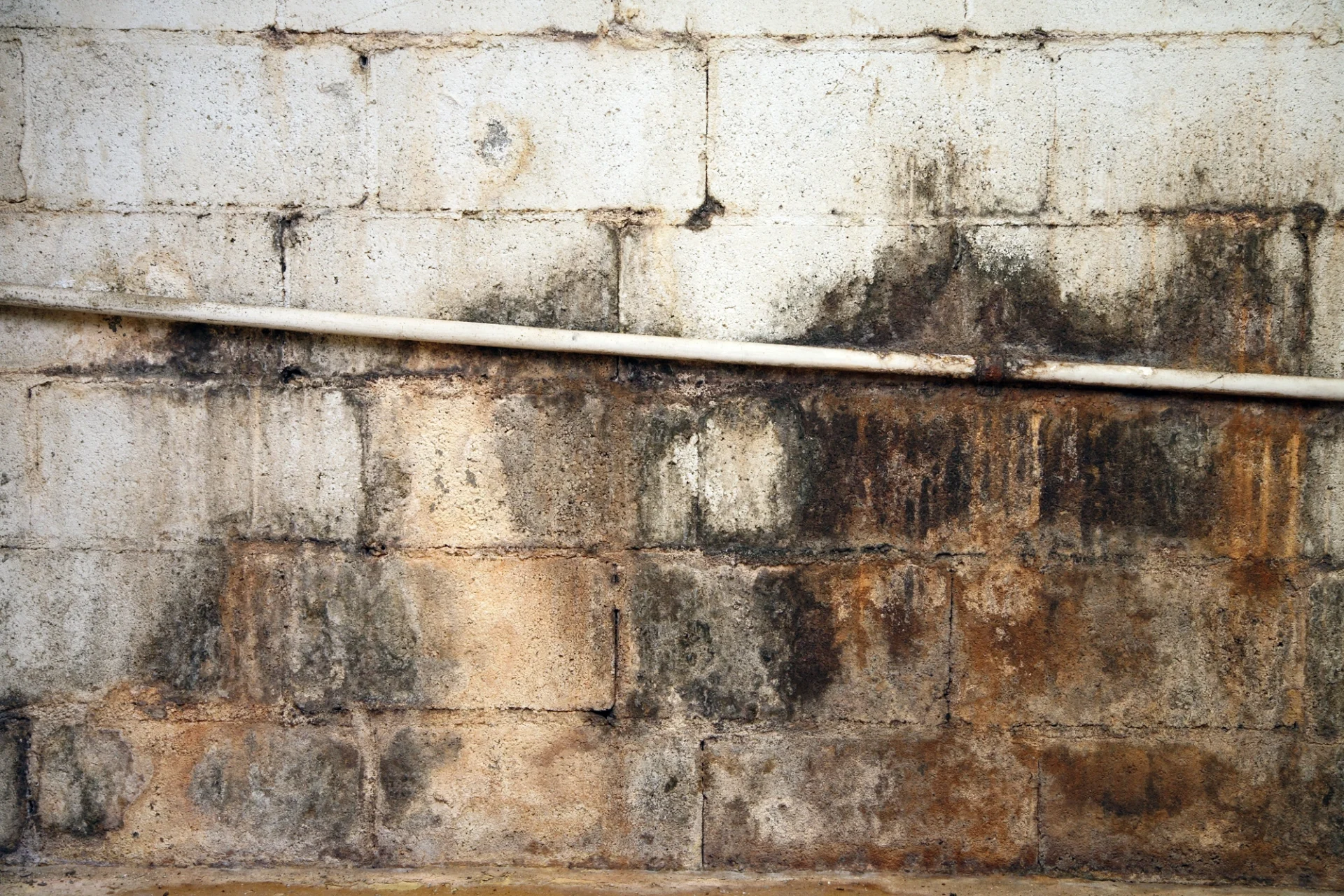 Heavy water damage and mold growth on a brick wall